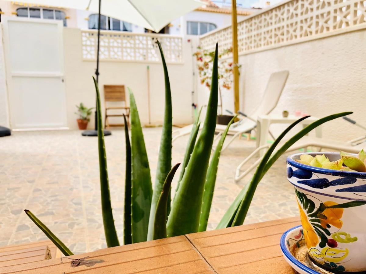 Mediterranean House غران ألاكانت المظهر الخارجي الصورة